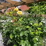 Apartmán Stralsundia *