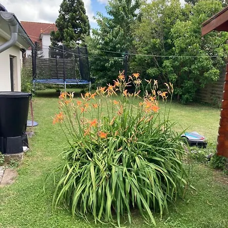 Stralsundia דירה *