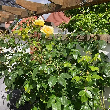 דירה Stralsundia *