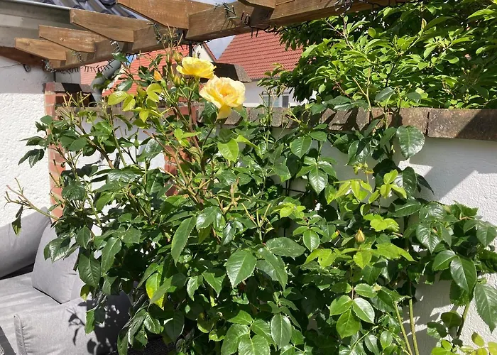 Apartamento Stralsundia *