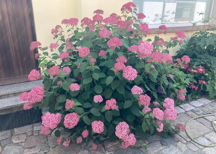 Stralsundia Apartamento Stralsund